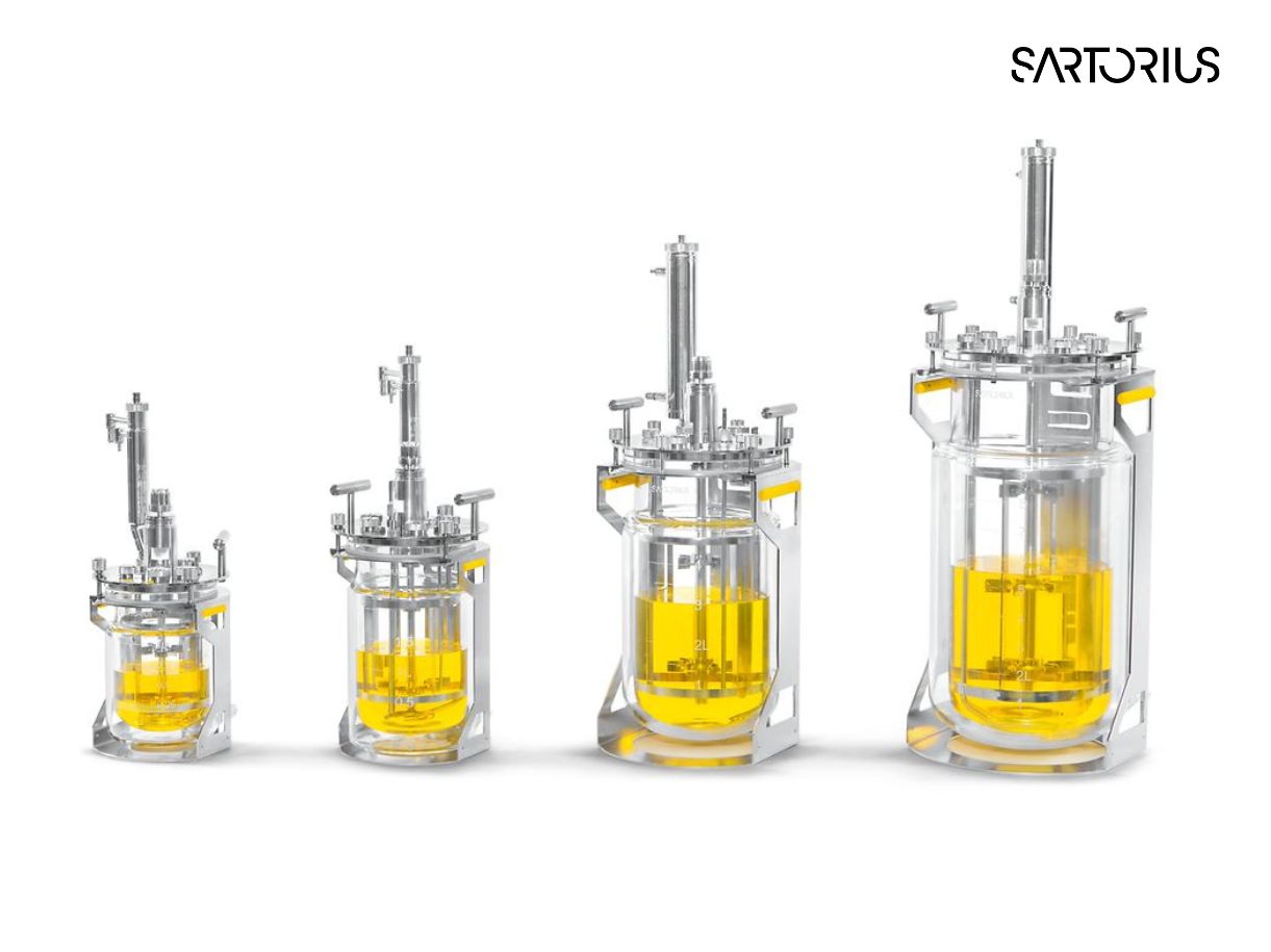 Bioreactor univessel glass sartorius