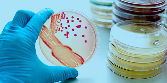 Autoclavi per laboratori di microbiologia