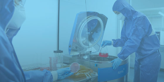 Autoclave para la industria farmacéutica